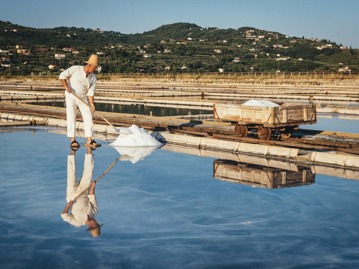 Sečovlje salt pans