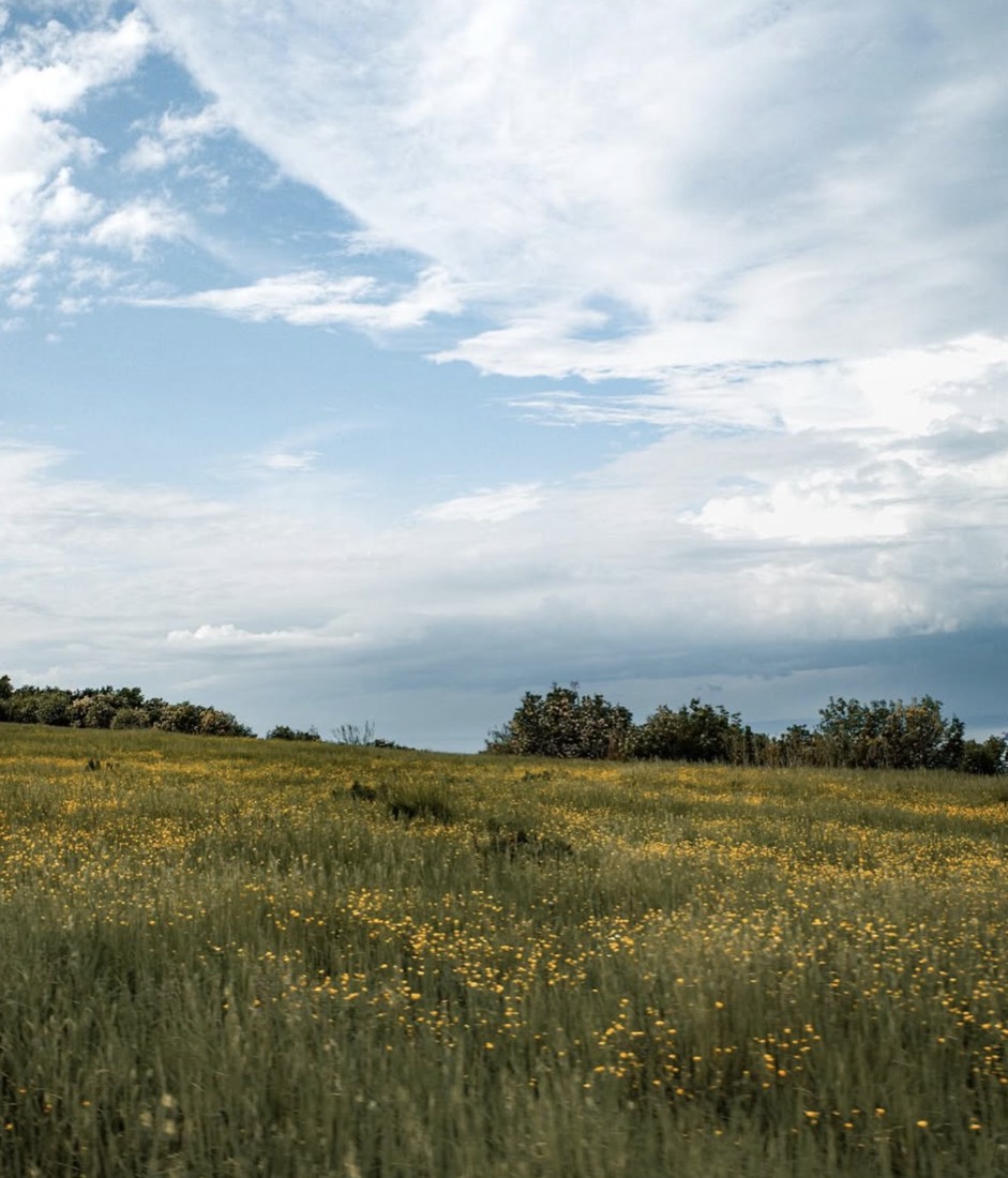 E-Bike Istria photo 7